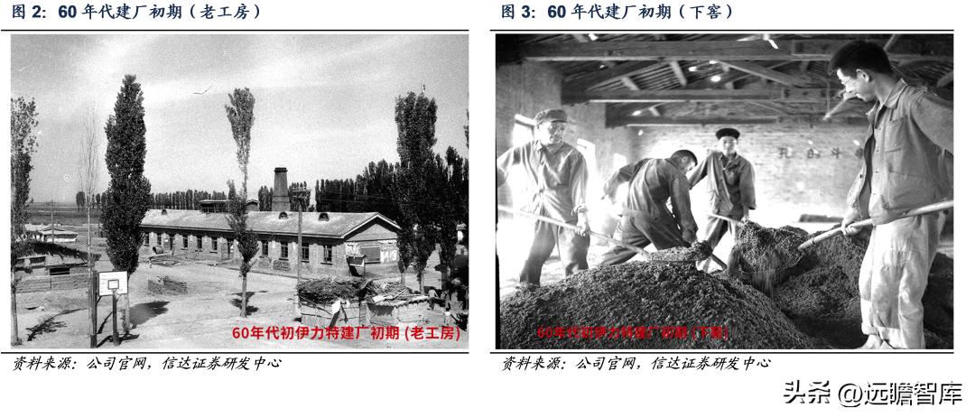 伊力特新疆酒,伊力特西域陈香白酒