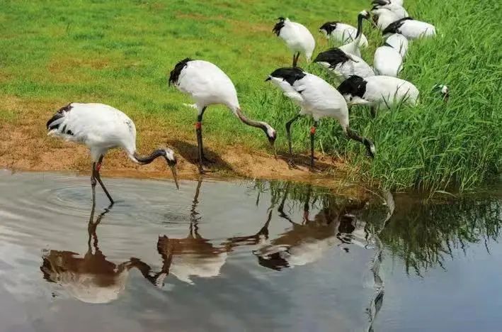 519旅游日景区半价活动,519中国旅游日北京免费景点