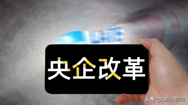 民企参与混改股权怎样设计,民企参与混改破产的案例