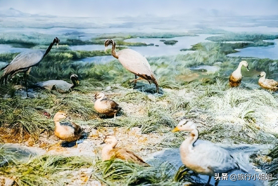 夏日海边微醺氛围感,滨城风光秀丽浪漫气息爆表