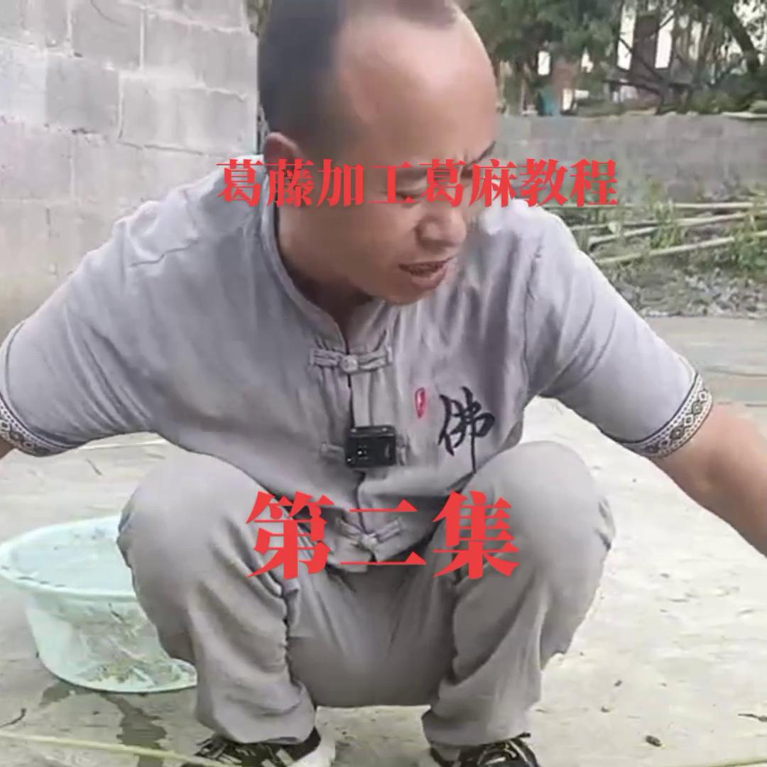 葛藤加工成零食,葛藤加工后做的东西视频