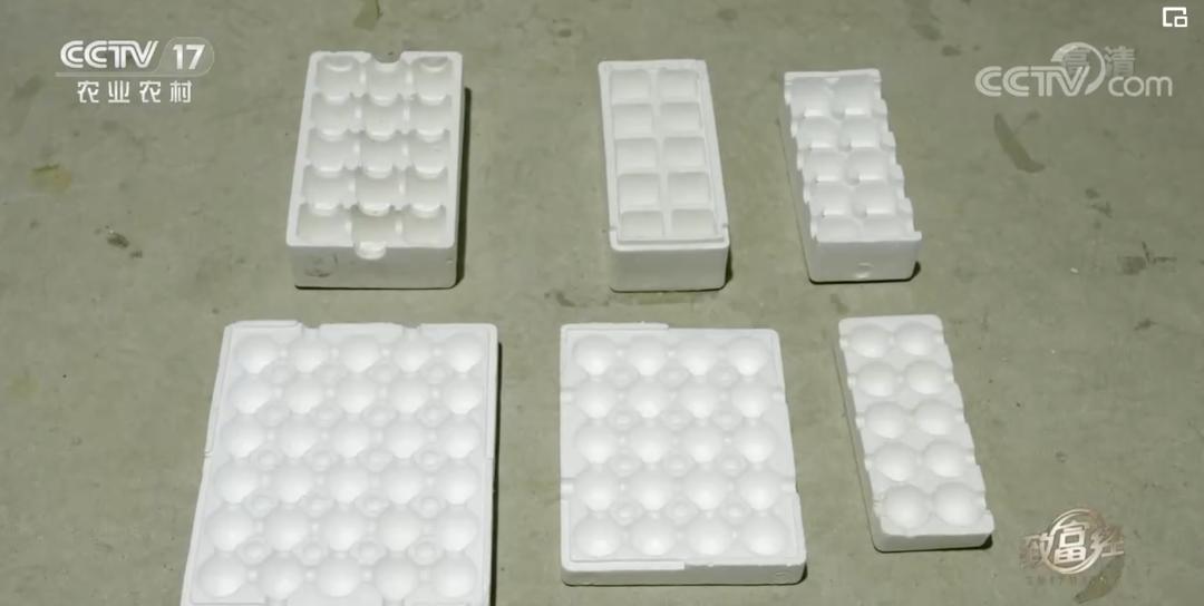 5万只鸡蛋一年能赚多少钱,一年卖1000万个鸡蛋