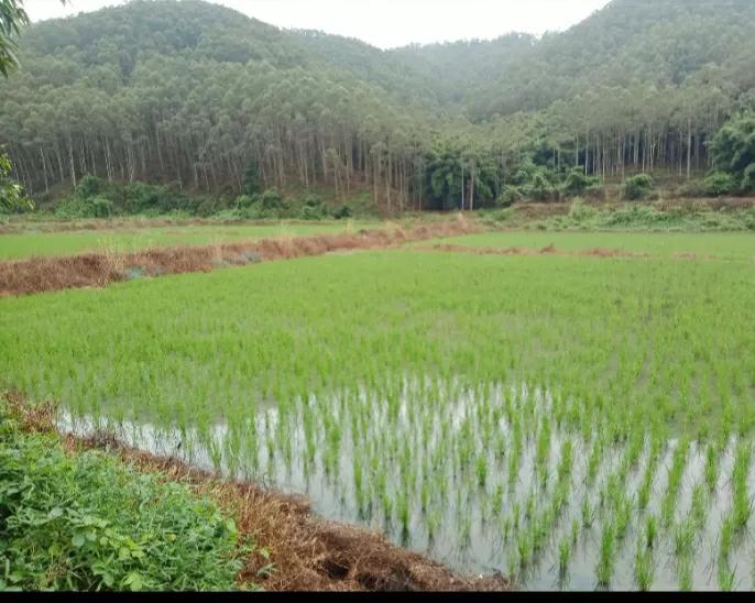 老公一遇到事情就发火,老公爱发脾气想离婚了怎么办