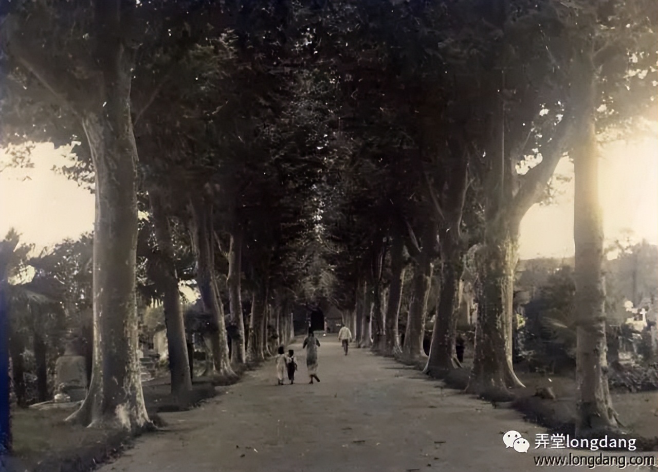 兆丰属于上海吗,兆丰洋行