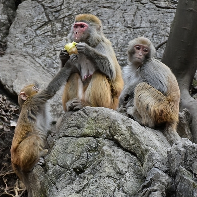 开封旅游未成年免票,开封景区最新门票标准及免票标准