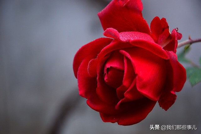 这才叫真正的异性知己,男女都有一个异性知己