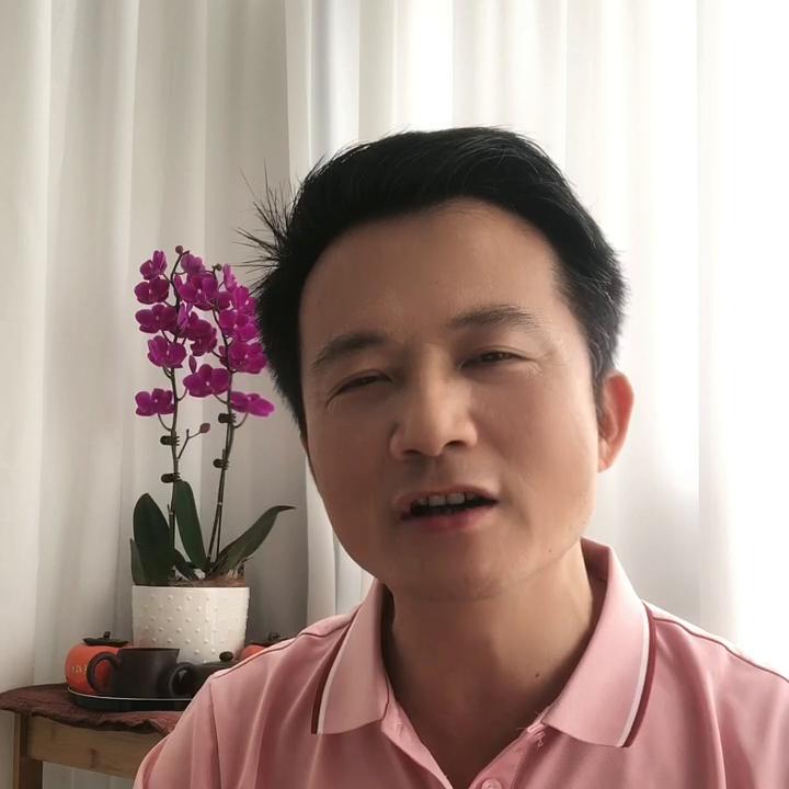 就事论事全集视频,就事论事完整版