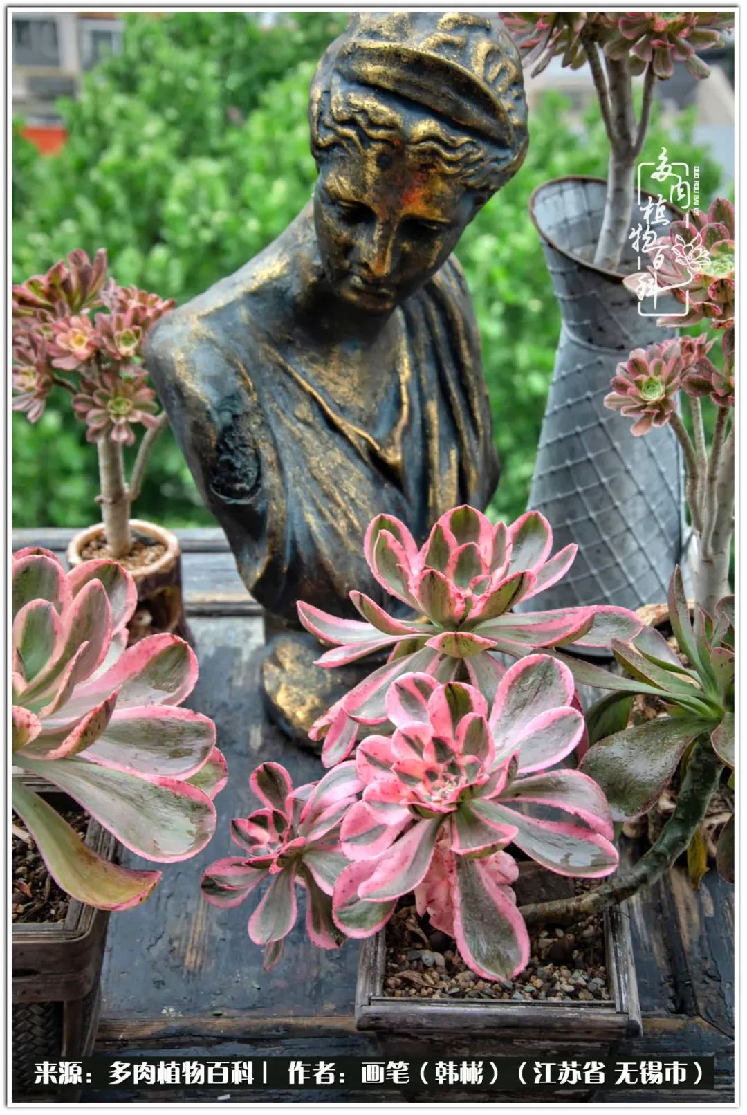 每个人的身旁都要有太阳,每个人都有一颗太阳