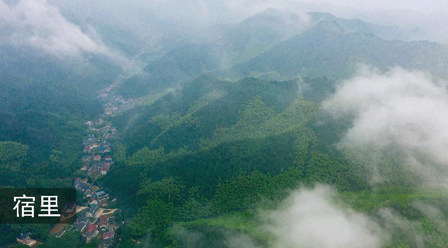 莫干山最美民宿20个推荐,莫干山民宿隐凡尘度假