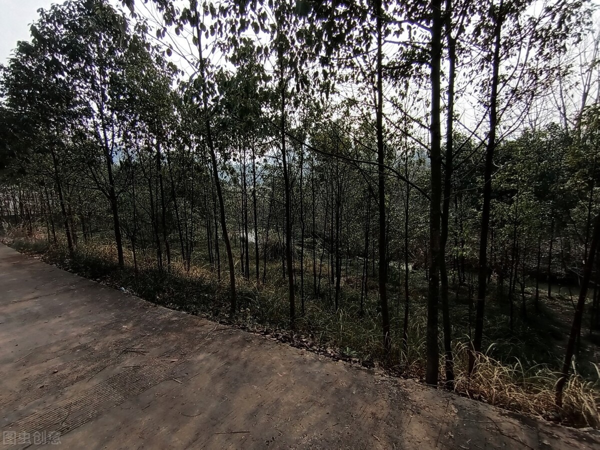 寻找失散40年双胞胎姐妹,寻找失散多年的妹妹20年