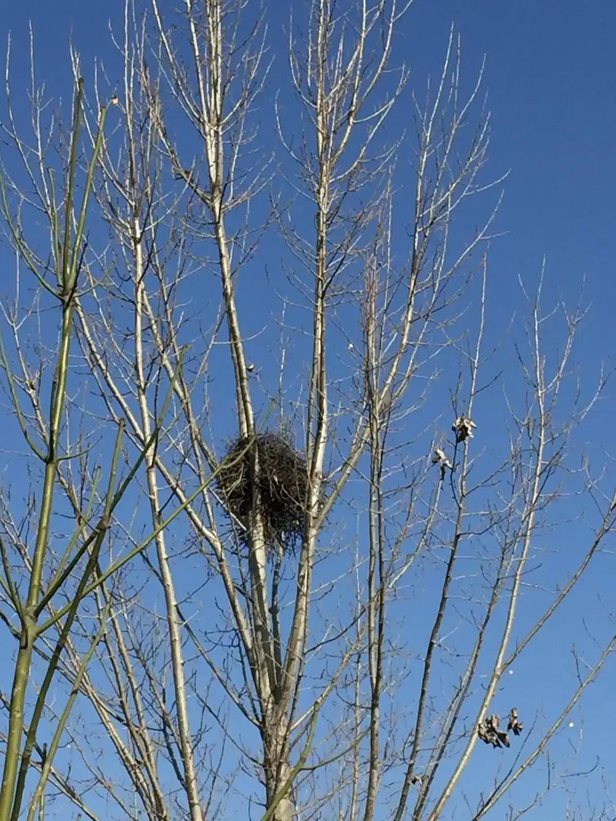 90后的我创业失败了说说,90后的我创业失败负债