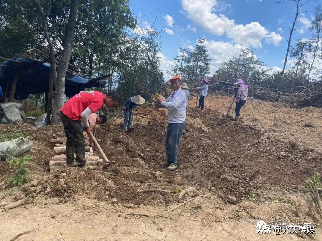 贵州90后回乡特色创业种植,黔东南州90后大学生返乡创业