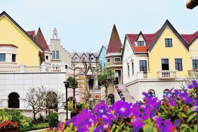 佛山广州两天两夜游玩攻略,佛山去南海湾森林公园