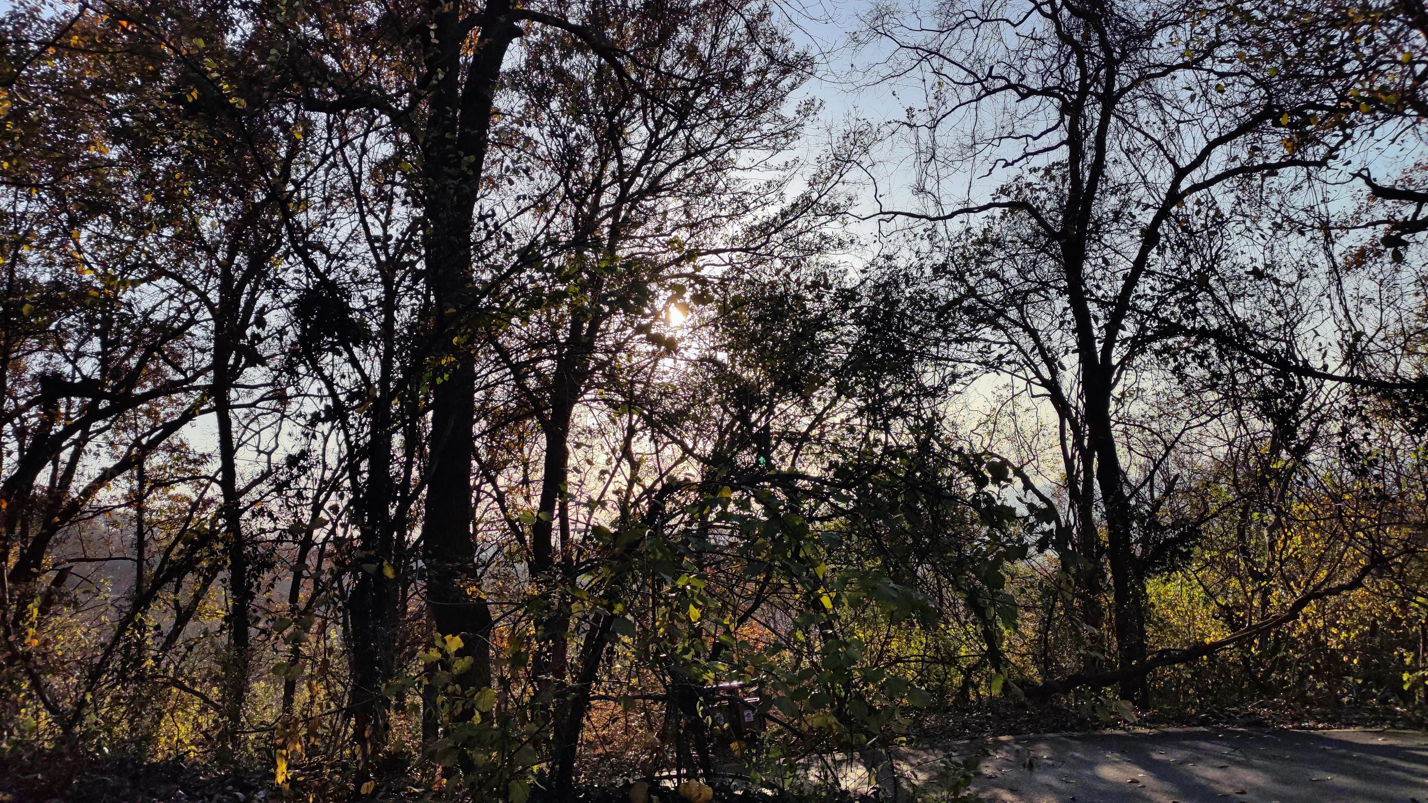 合肥风景打卡地冬季,合肥必打卡圣地