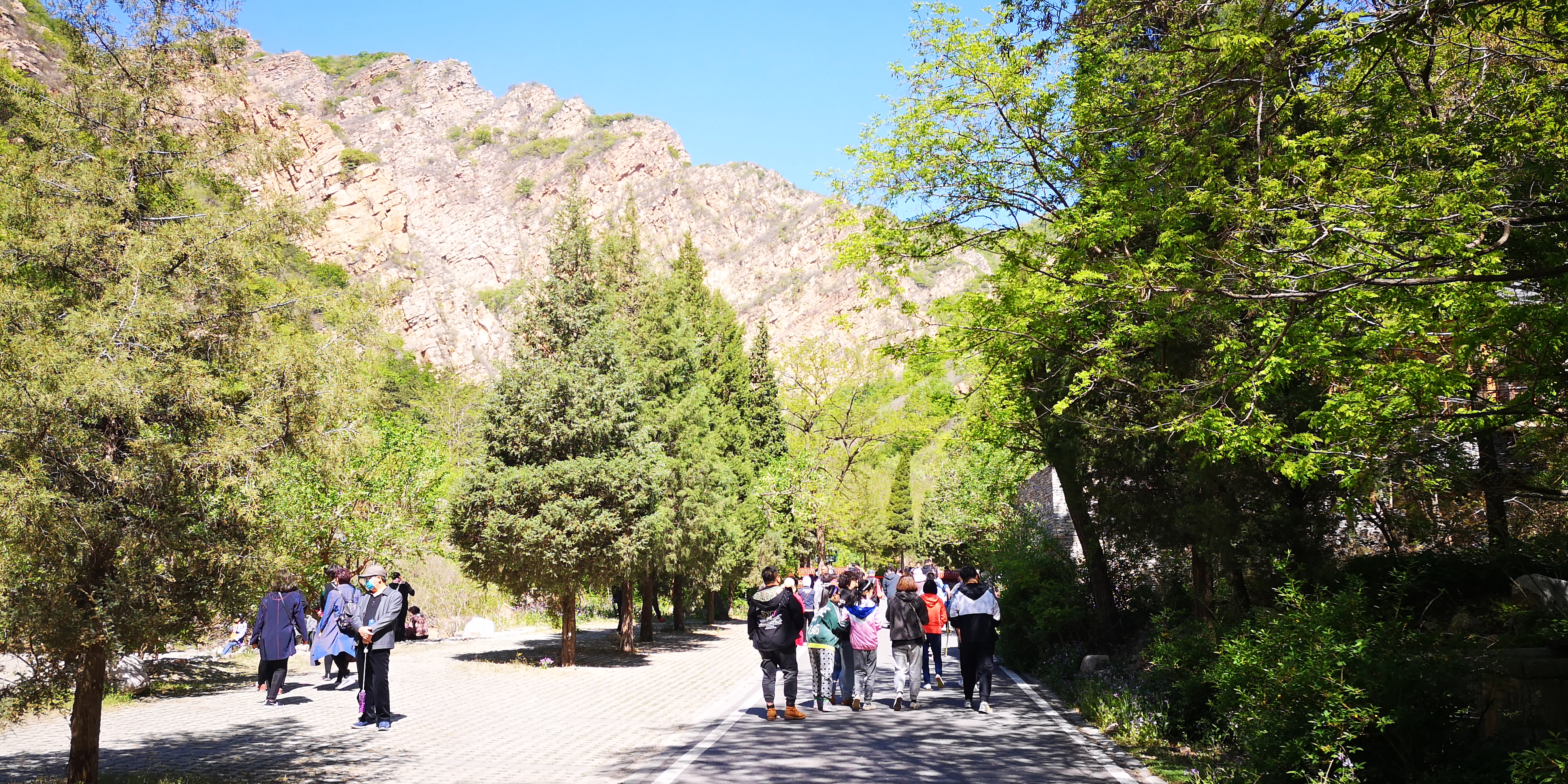 天津梨木台景区值得夏天去的地方,天津蓟县梨木台风景区路线