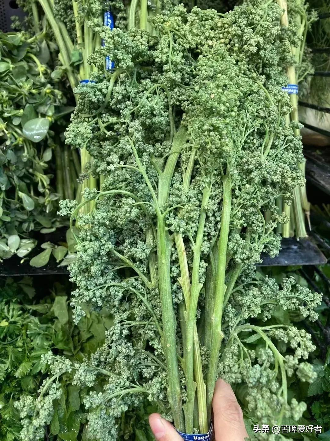 小时候割猪草,小时候割喂猪的猪草都叫什么