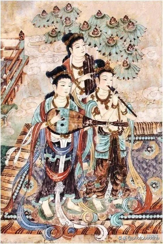 最近很火爆的佛系视频,最近很火的佛系生物