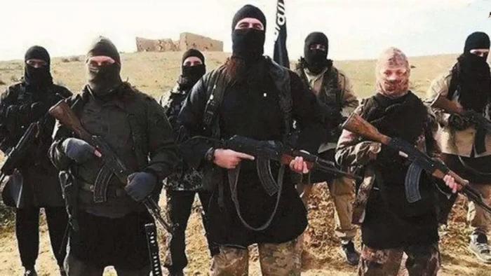 恐怖分子被诈骗,诈骗分子和恐怖分子