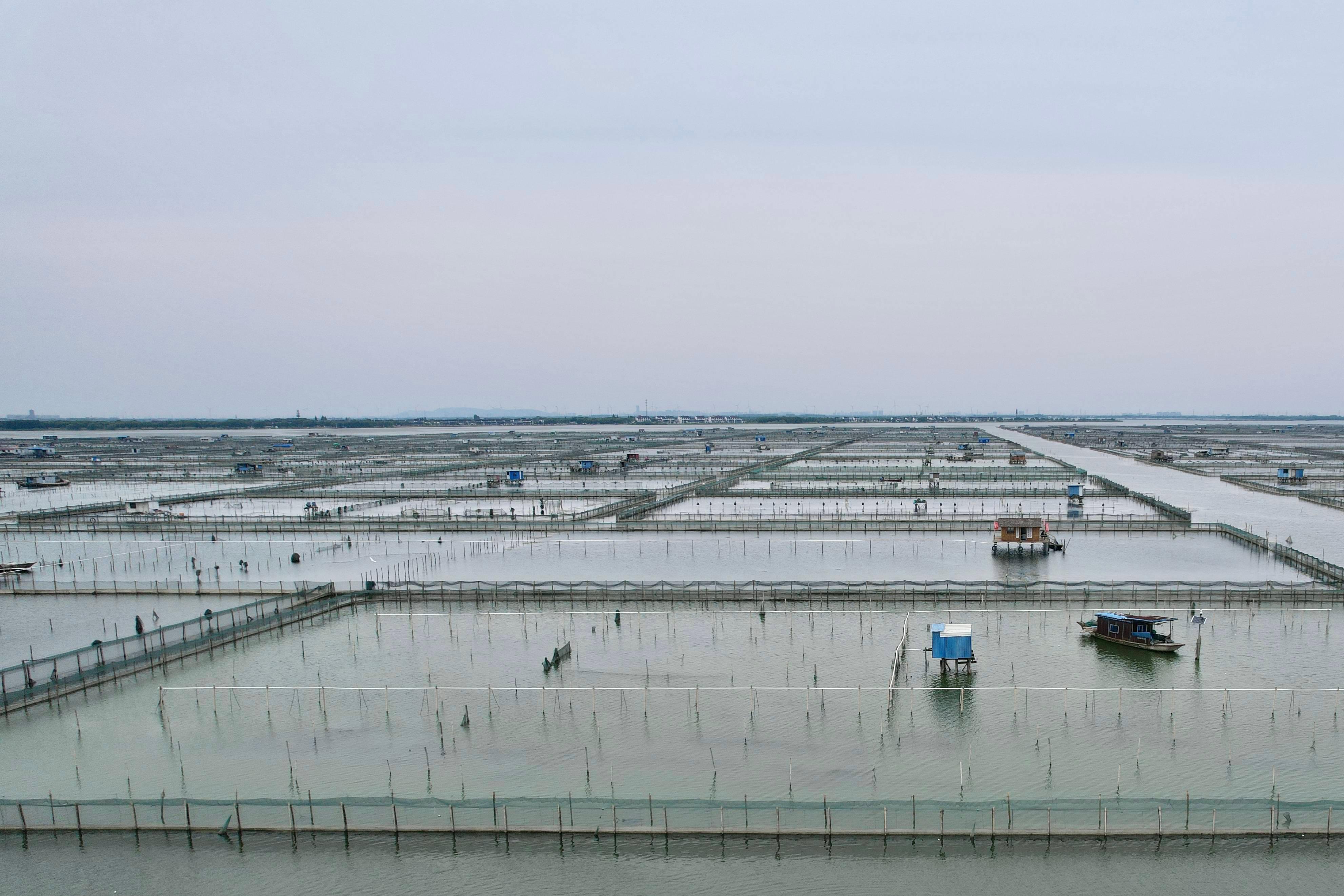 蟹满堂:养蟹人的传承之路