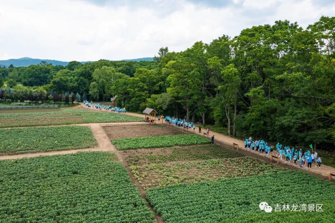 长春高新第二实验中学培育的人才,长春高新第一实验学校研学