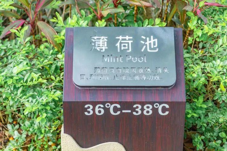 厦门泡温泉日月泉,冬季室外温泉别样感受