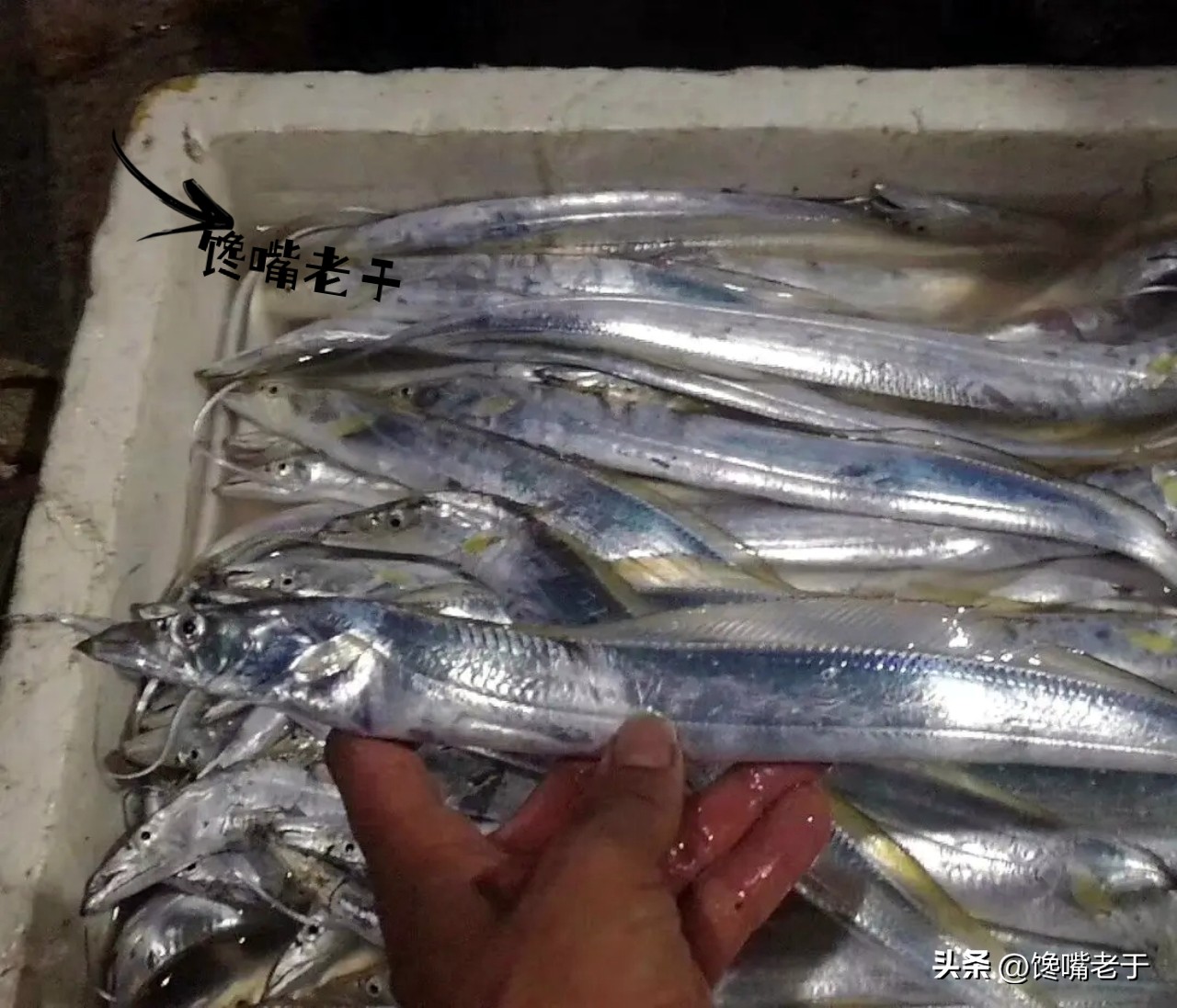 煎带鱼怎么不粘锅不掉皮视频,怎么煎带鱼块不粘锅不掉皮不散