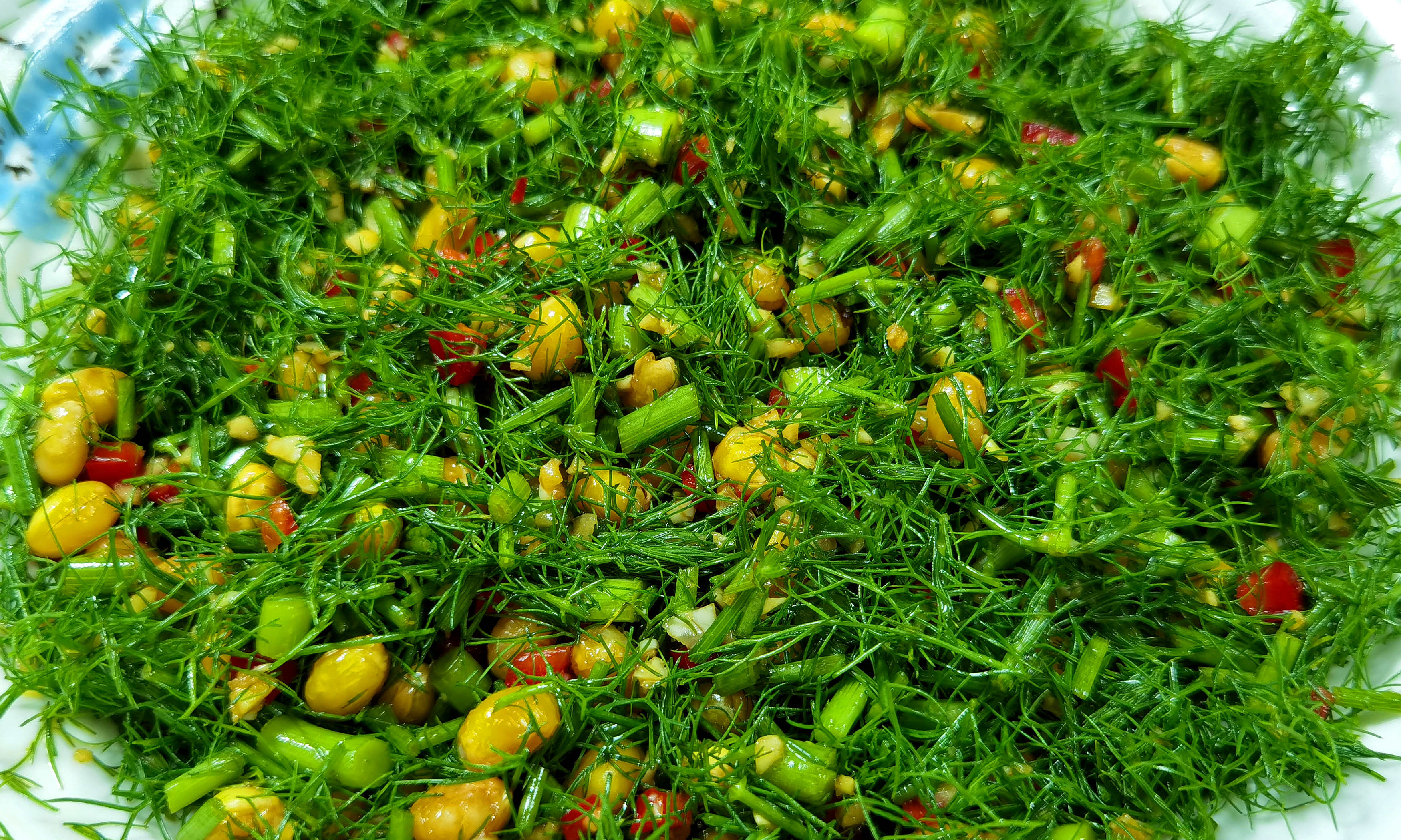 茴香菜最健康的吃法,夏天吃茴香菜