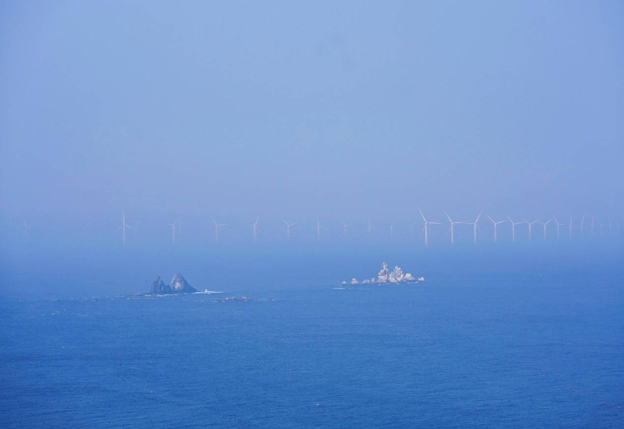 “我爱我的家乡”调研行丨中粮可口可乐为海王九岛乡村振兴“赋能提速”