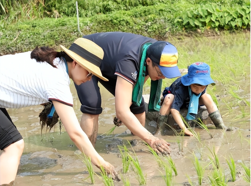 郭晶晶朴素低调回娘家,清醒贵妇郭晶晶