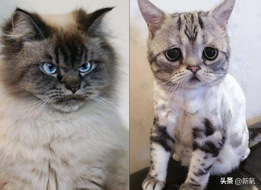 长着一张不高兴的脸怎么办,脸长得很难看该怎么办