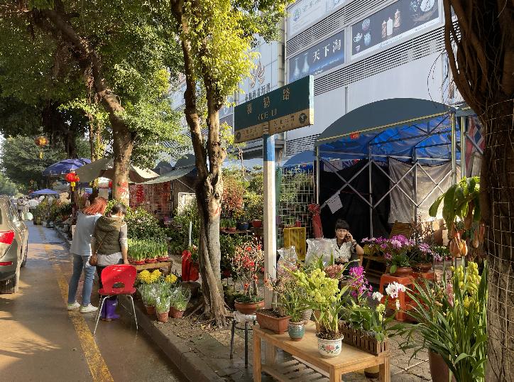广州芳村花地古玩城,花地湾古玩城花市