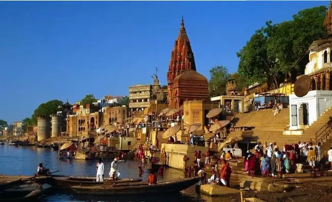 种子危机孟山都,种子巨头孟山都