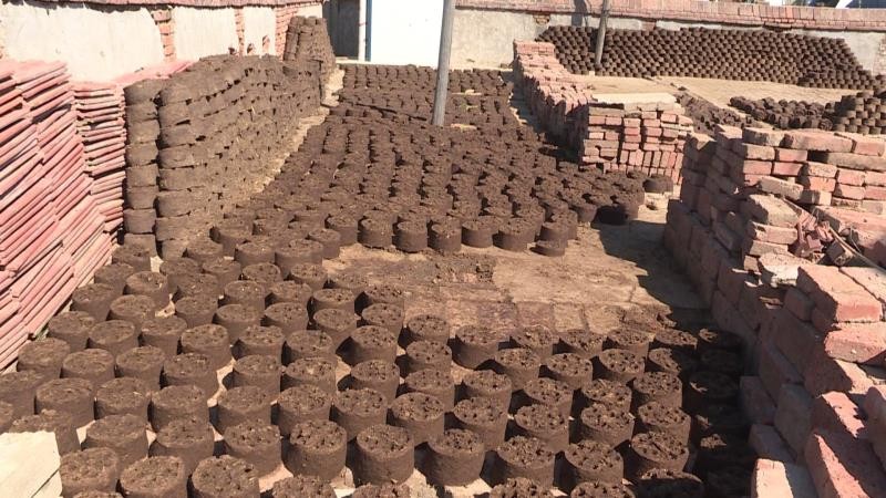 牛粪粪污处理工程,牛粪入沼气池变有机肥