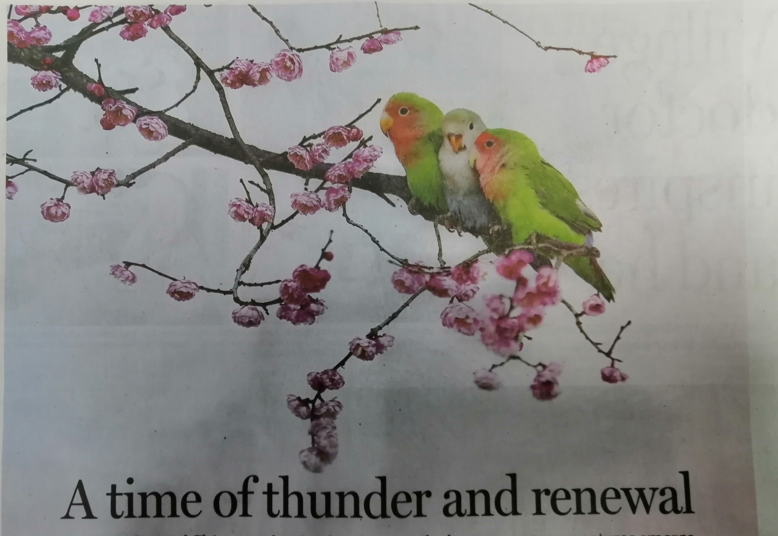 二十四节气之惊蛰农耕变化,24节气之惊蛰随笔