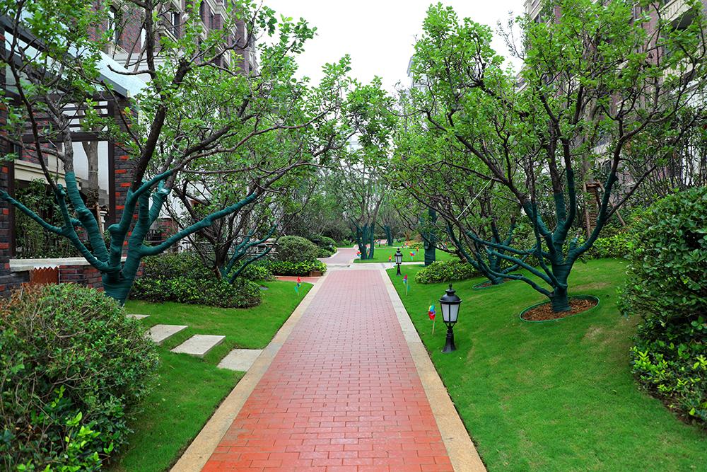 豫发3社区获评“郑州市节水型居民小区”