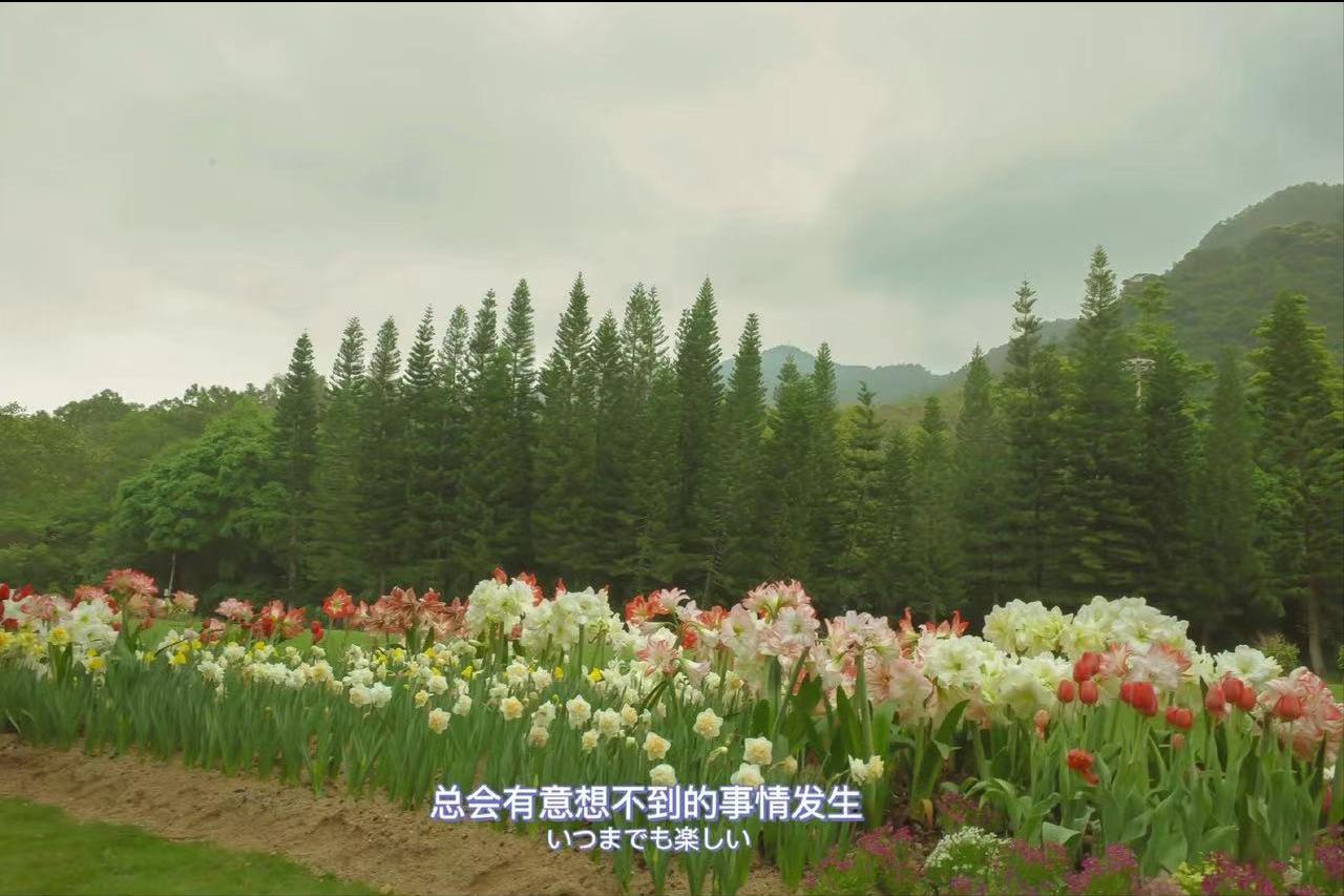 女情人失望要分手怎么挽回,情人失望型分手最佳挽回方式