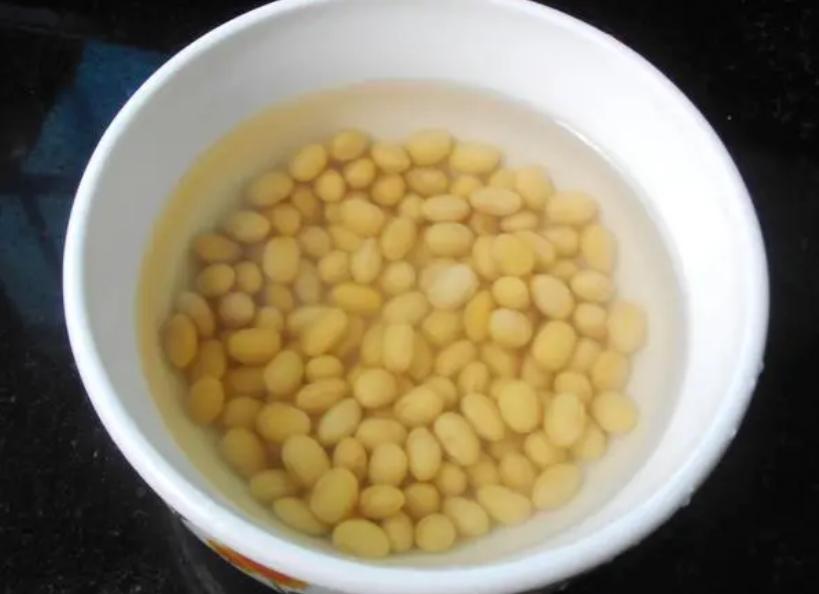 养花不用土养的小型花,养花不用浇透水就不会烂根吗