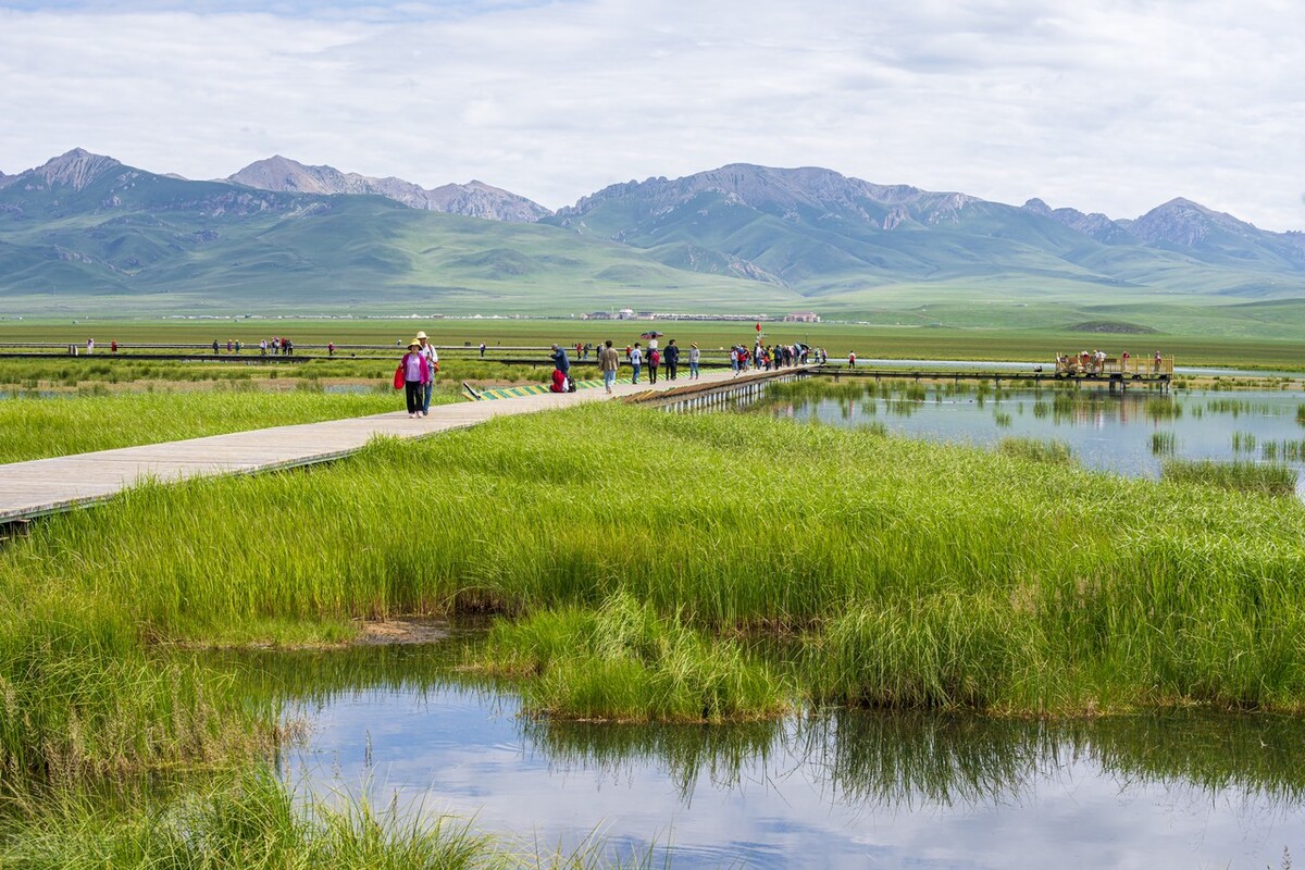 高原绿洲若尔盖-中国最平坦的湿地草原