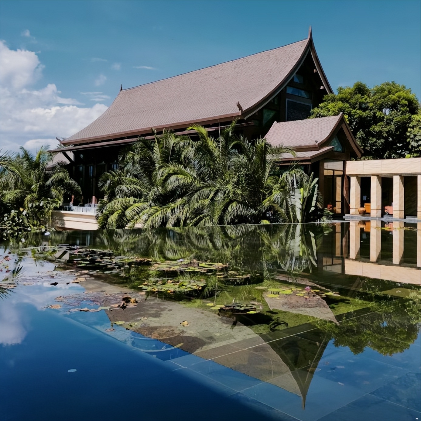 不走寻常路不走回头路,不走寻常路酒驾