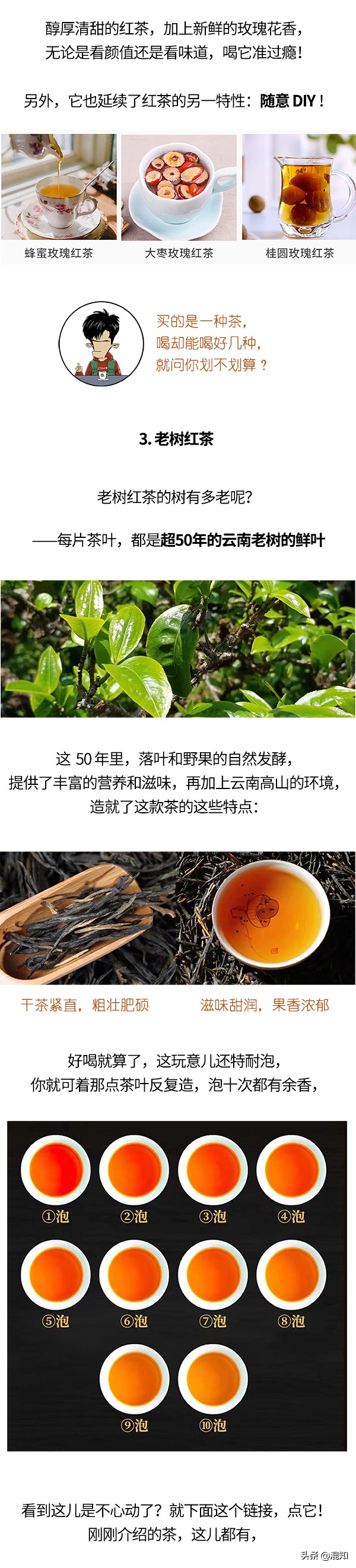 不懂茶的小白如何避坑选茶,茶小白速看新手买茶的八条铁律
