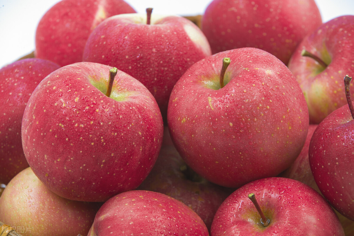 铲屎官可以吃猫草吗,铲屎官喂什么都吃