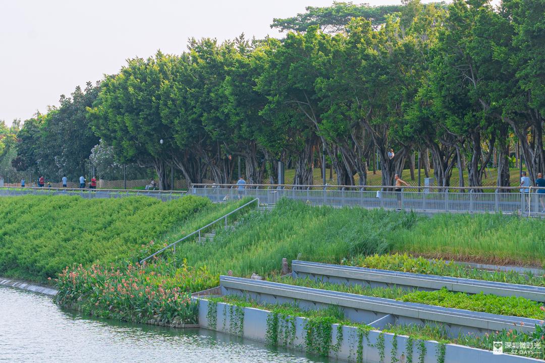 我们这十年｜“首善之区”，日新月异！十年造就一个“新福田”