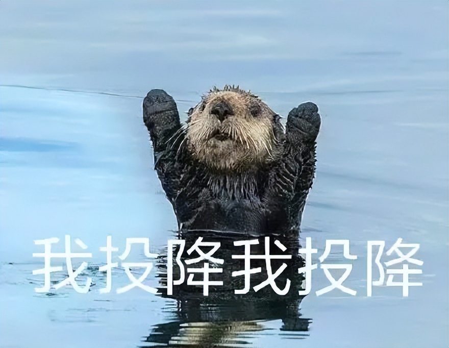 欧冠赛程直播中日德兰,欧冠本菲卡对布鲁日