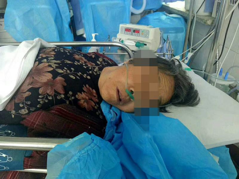 卫生间小飞虫蛾蚋的危害,卫生间小飞虫有多可怕