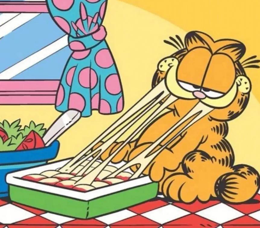 加菲猫可爱排名,肥猫加菲猫宠物