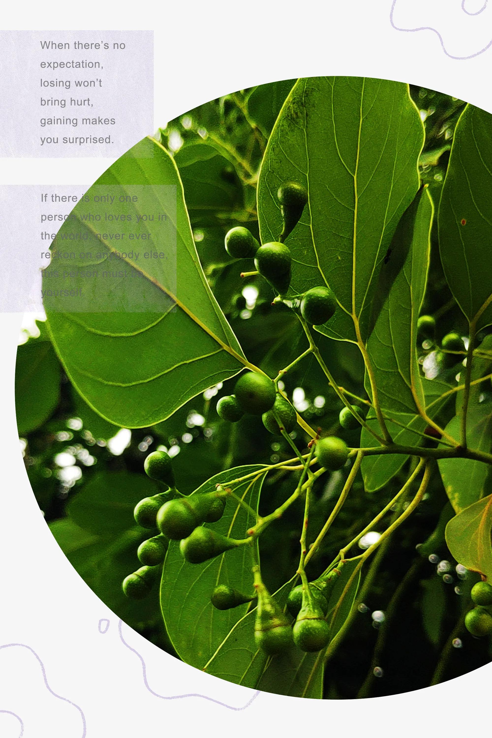 田园美景竖屏大图,乡村田园风景手机怎么拍