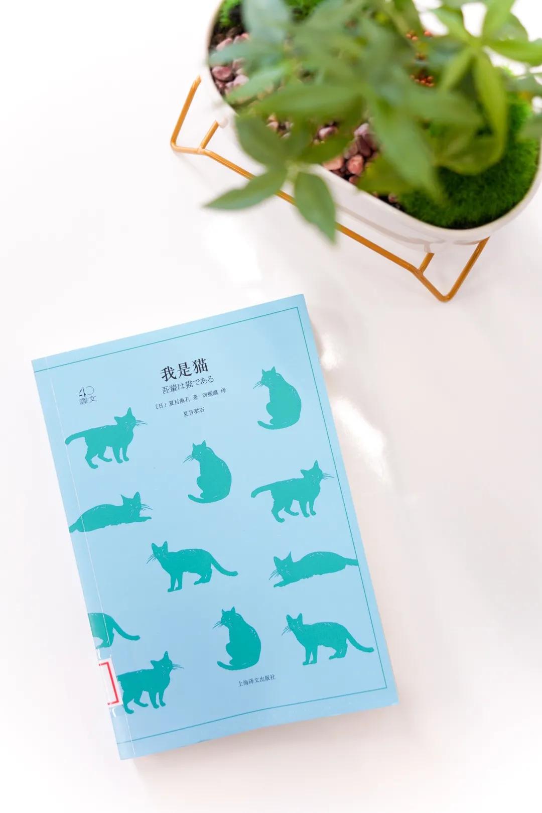 深圳图书馆北馆,深圳图书馆预约