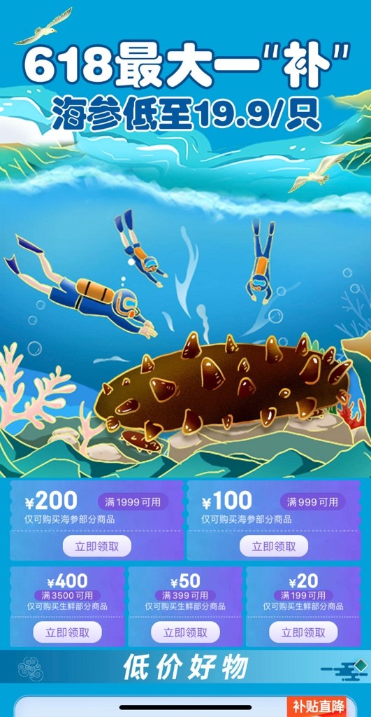 大连现捕海参价格,人工收获海参潜水员下水收获海参