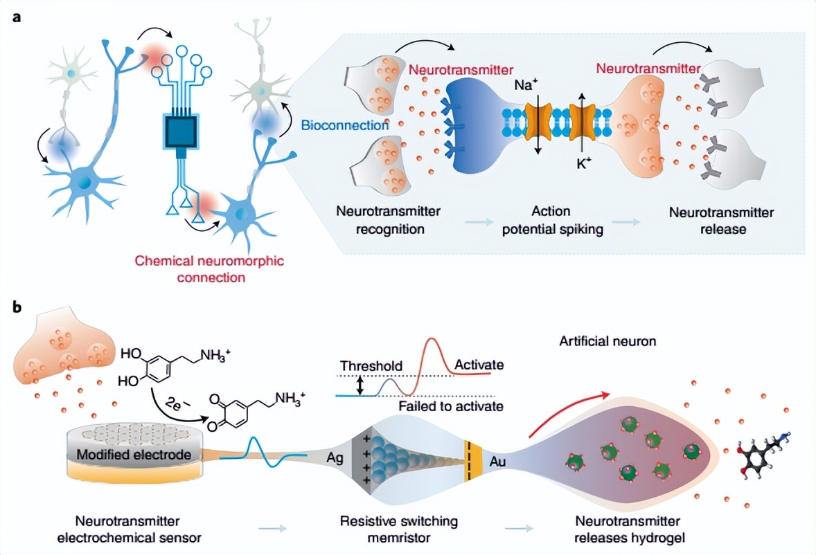 南邮与南洋理工合作项目,南邮团队研发纳米机器