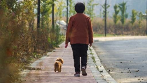 退休必读,退休后必读的中国书